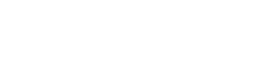 Rizzi Consulting